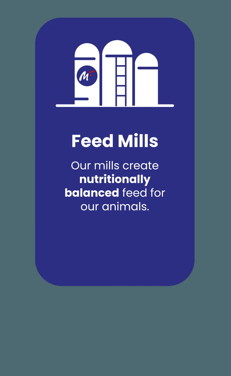 Feed mills