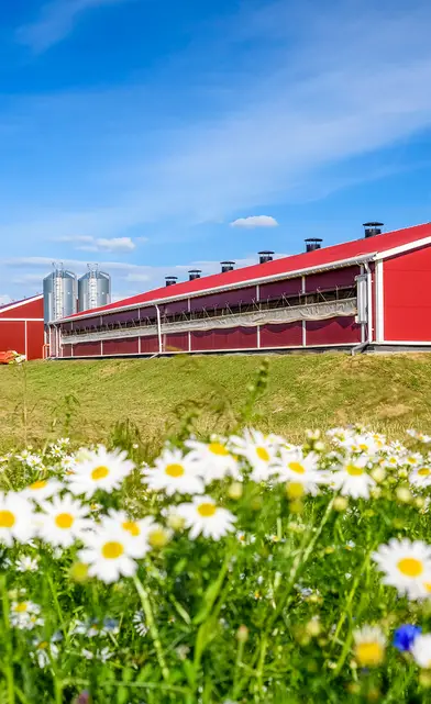 Morliny foods company farm